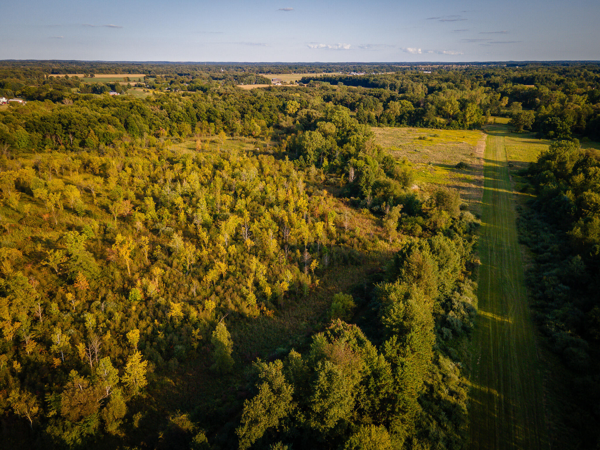 5820 Squires Road Jackson, MI 49201 - Photo 10 of 79 DJI_0537