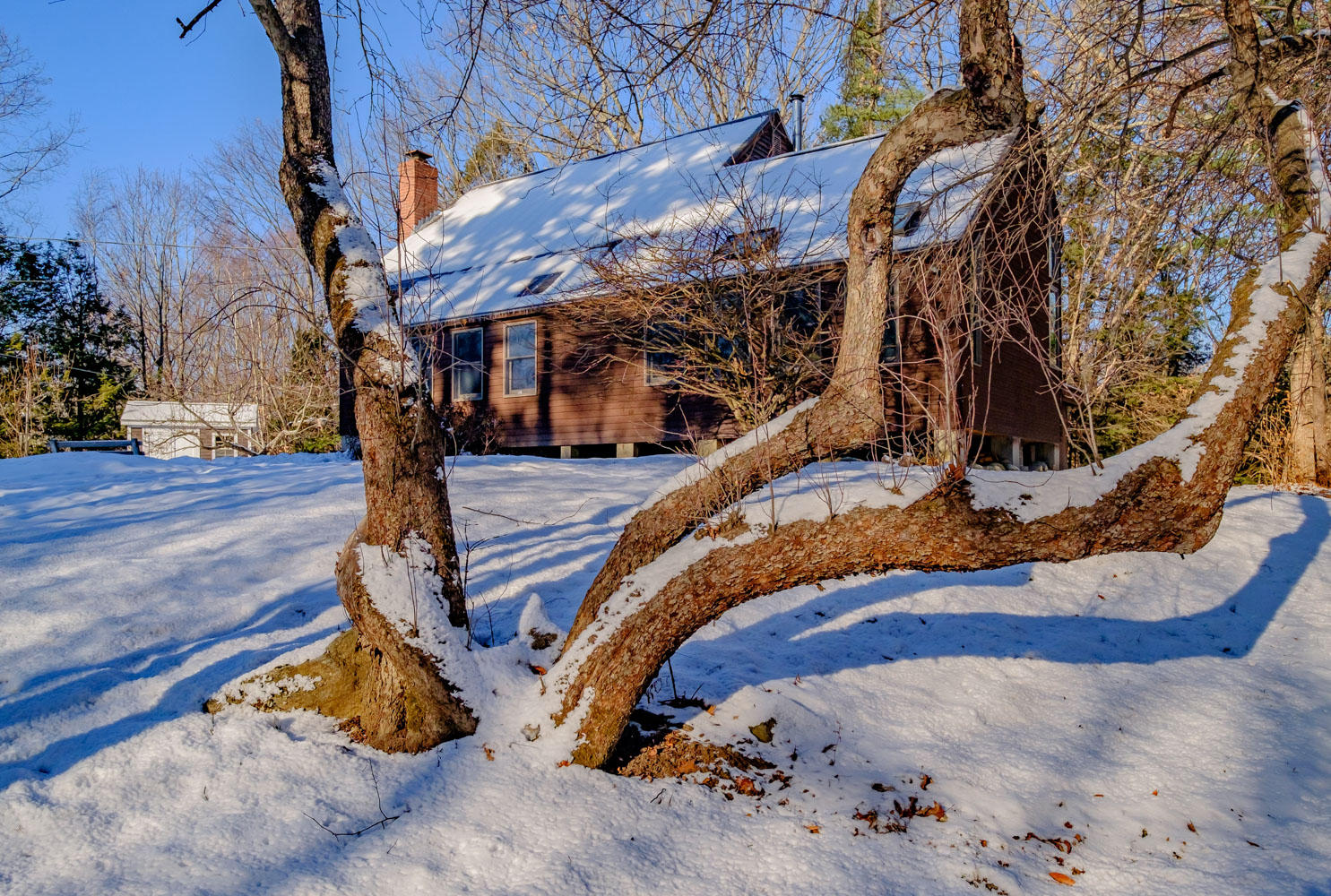 54 Colley Hill Road Gray, ME 04039 - Photo 4 of 50 20181218gp-62065