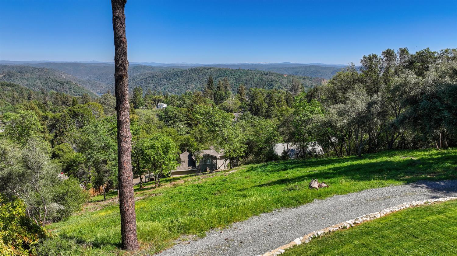 0 Rio Vista Drive Auburn, CA 95603 - Photo 2 of 4 a view of a garden with a tree in the background