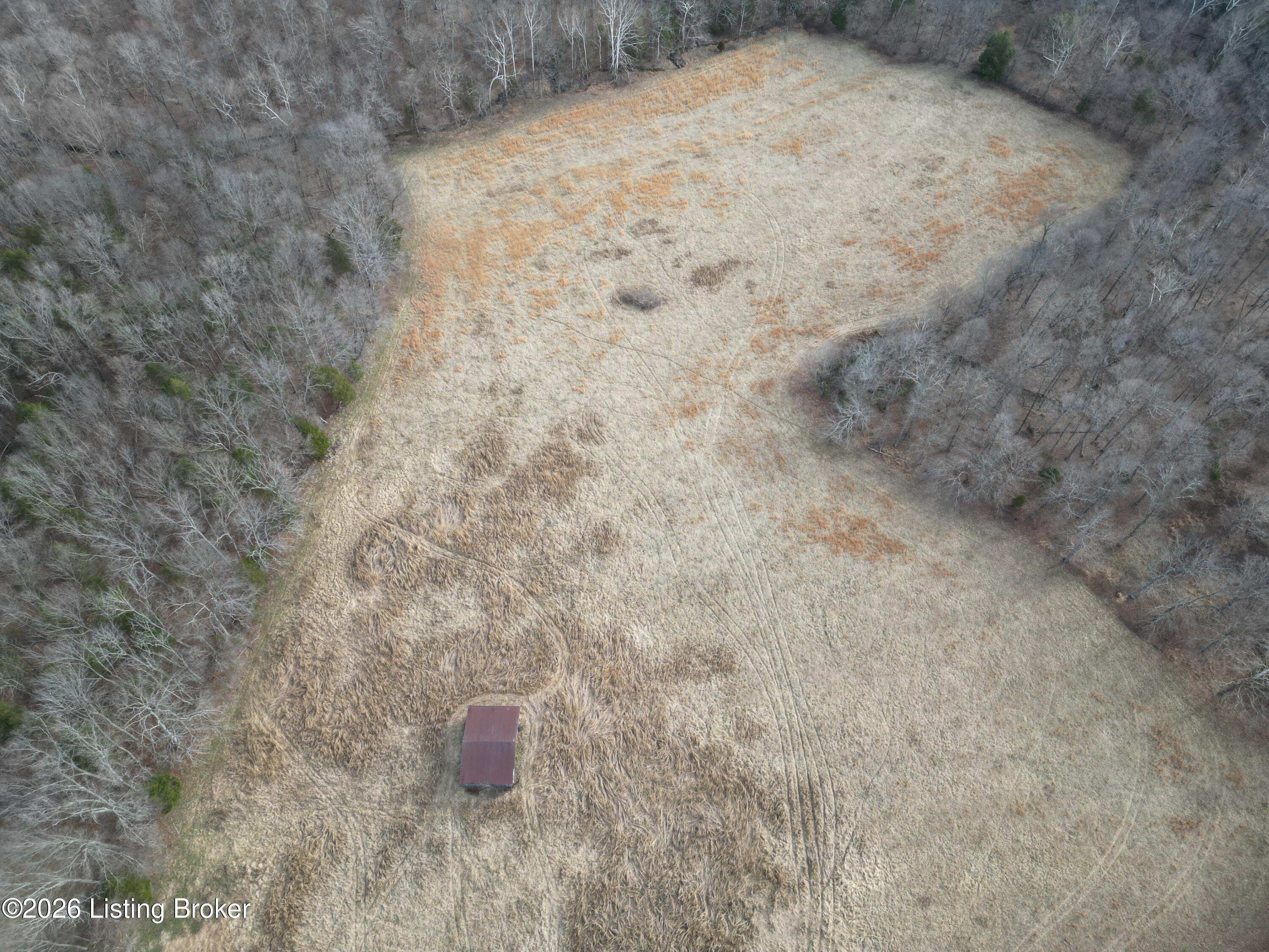 0 Green Decker Road Caneyville, KY 42721 - Photo 2 of 6 dji_fly_20260220_214014_0_1771690577101_
