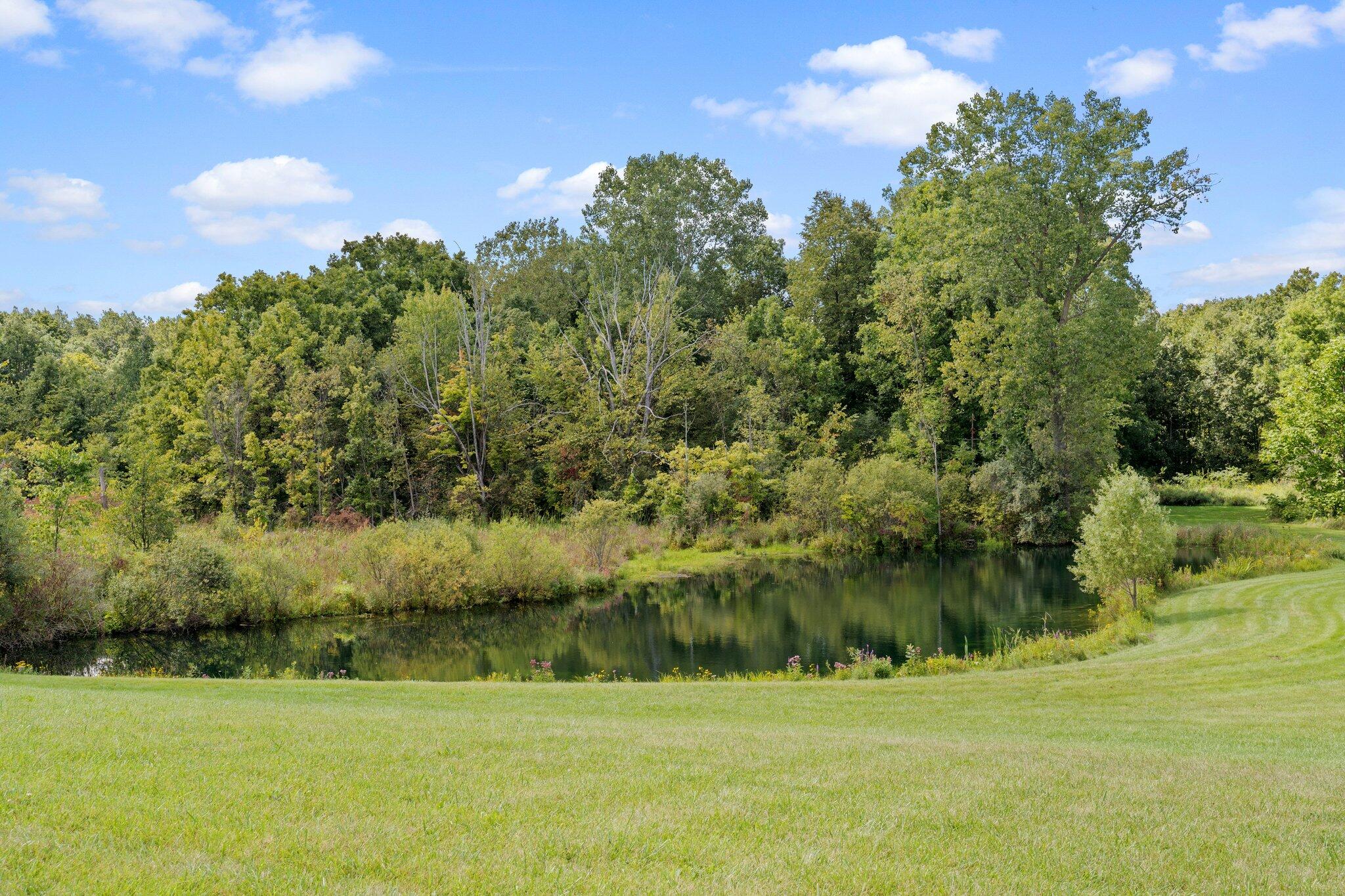 1280 Sylvan Road Chelsea, MI 48118 - Photo 47 of 58 53-web-or-mls-_DSC0329