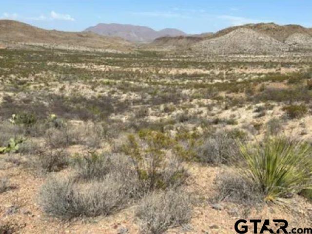 27236 Huff Road Alpine, TX 79830 - Photo 11 of 27