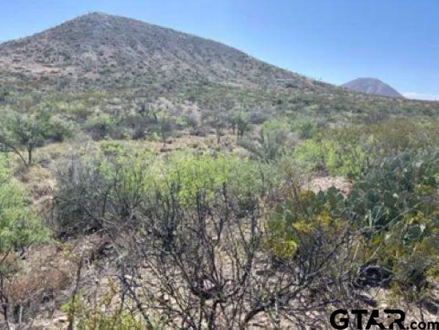 27236 Huff Road Alpine, TX 79830 - Photo 17 of 27