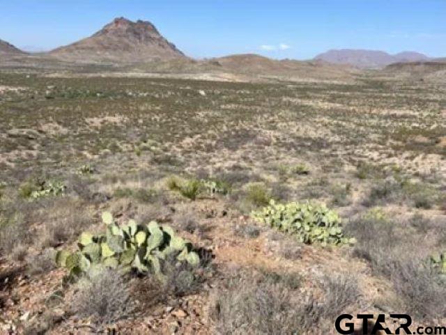 27236 Huff Road Alpine, TX 79830 - Photo 18 of 27