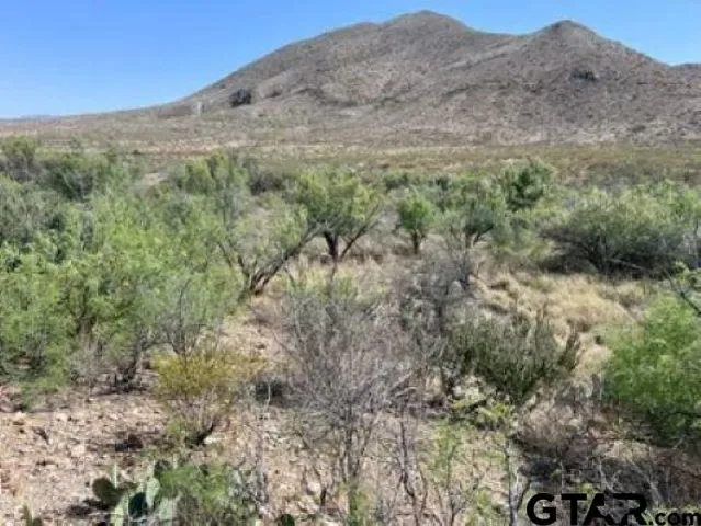 $90,000 | 27236 Huff Road, Alpine, TX 79830