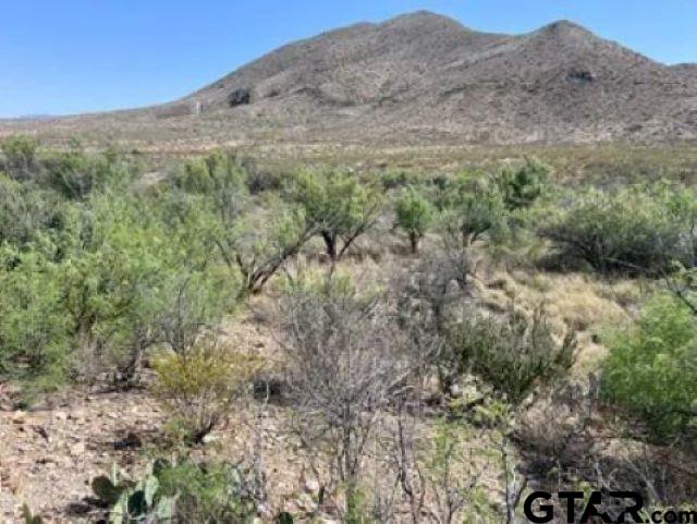 27236 Huff Road Alpine, TX 79830 - Photo 21 of 27