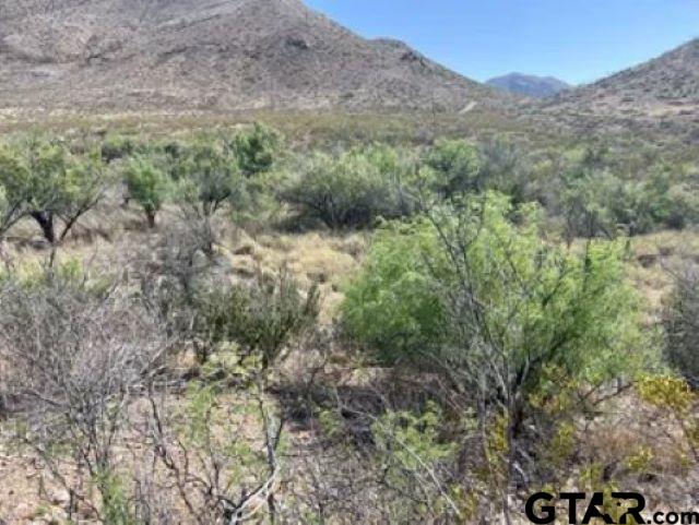 27236 Huff Road Alpine, TX 79830 - Photo 23 of 27
