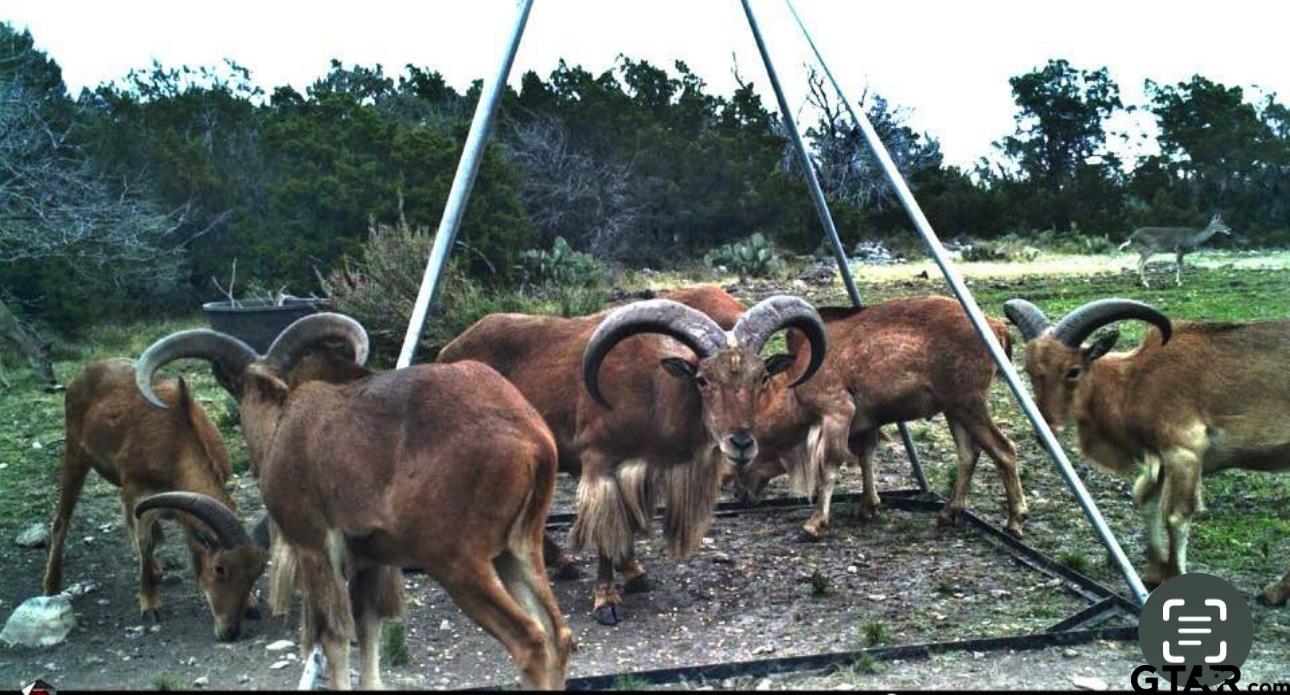 27236 Huff Road Alpine, TX 79830 - Photo 3 of 27