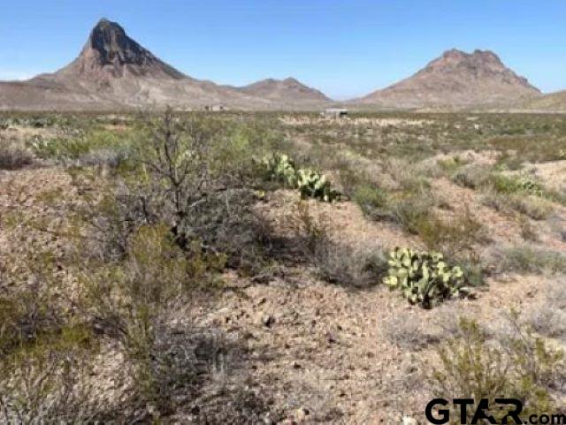 27236 Huff Road Alpine, TX 79830 - Photo 5 of 27