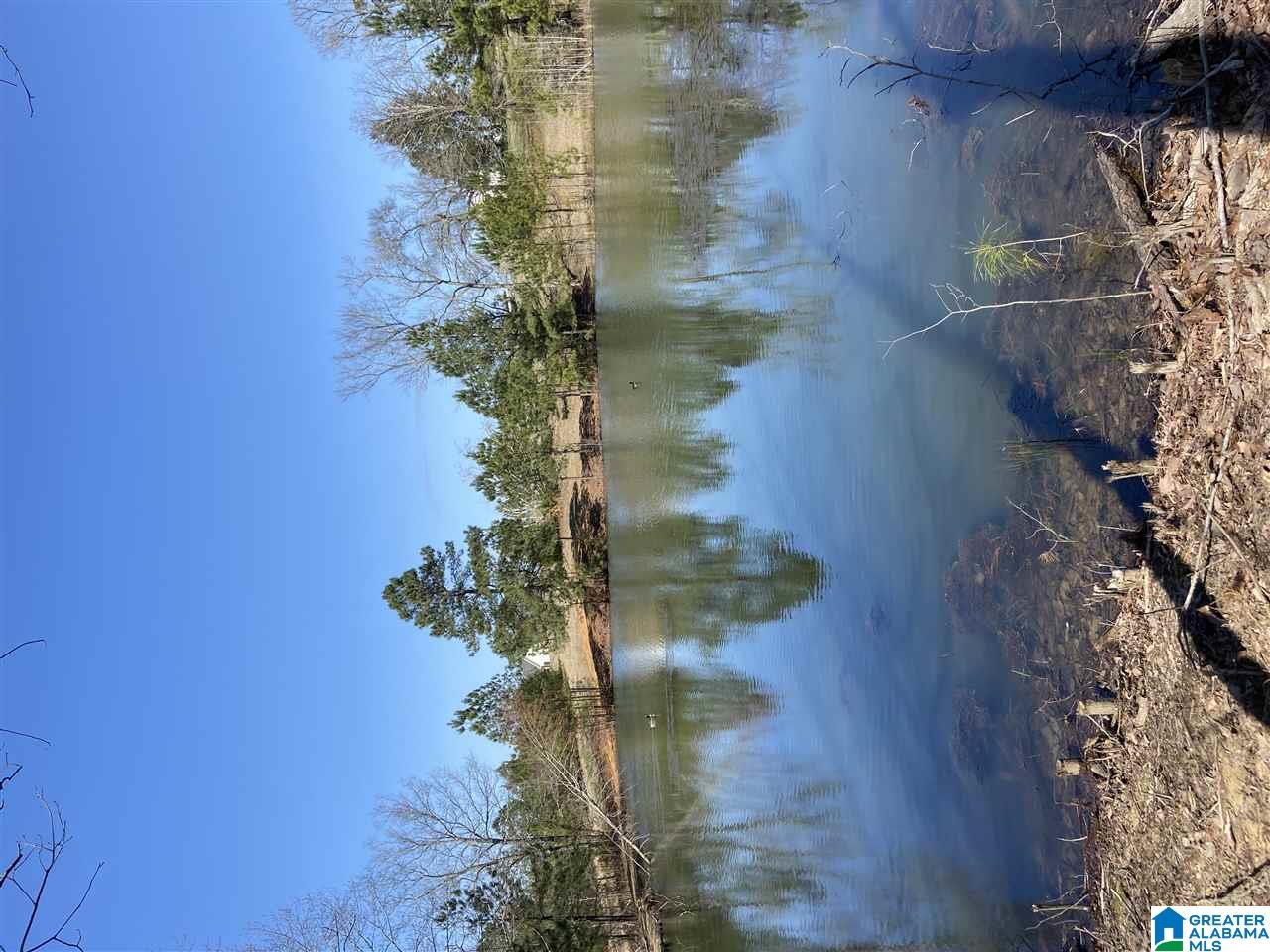 0 Pine Mountain Road, Unit 1 Springville, AL 35146 - Photo 8 of 15 Gallery Image 8