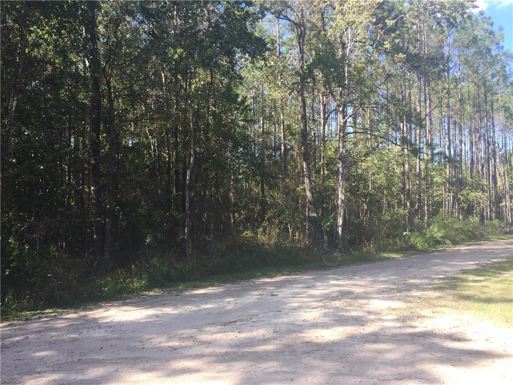 Quail Road Callahan, FL 32011 - Photo 3 of 10 a view of a yard with a trees