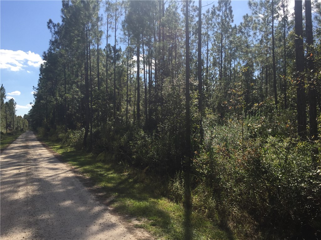 Quail Road Callahan, FL 32011 - Photo 4 of 10