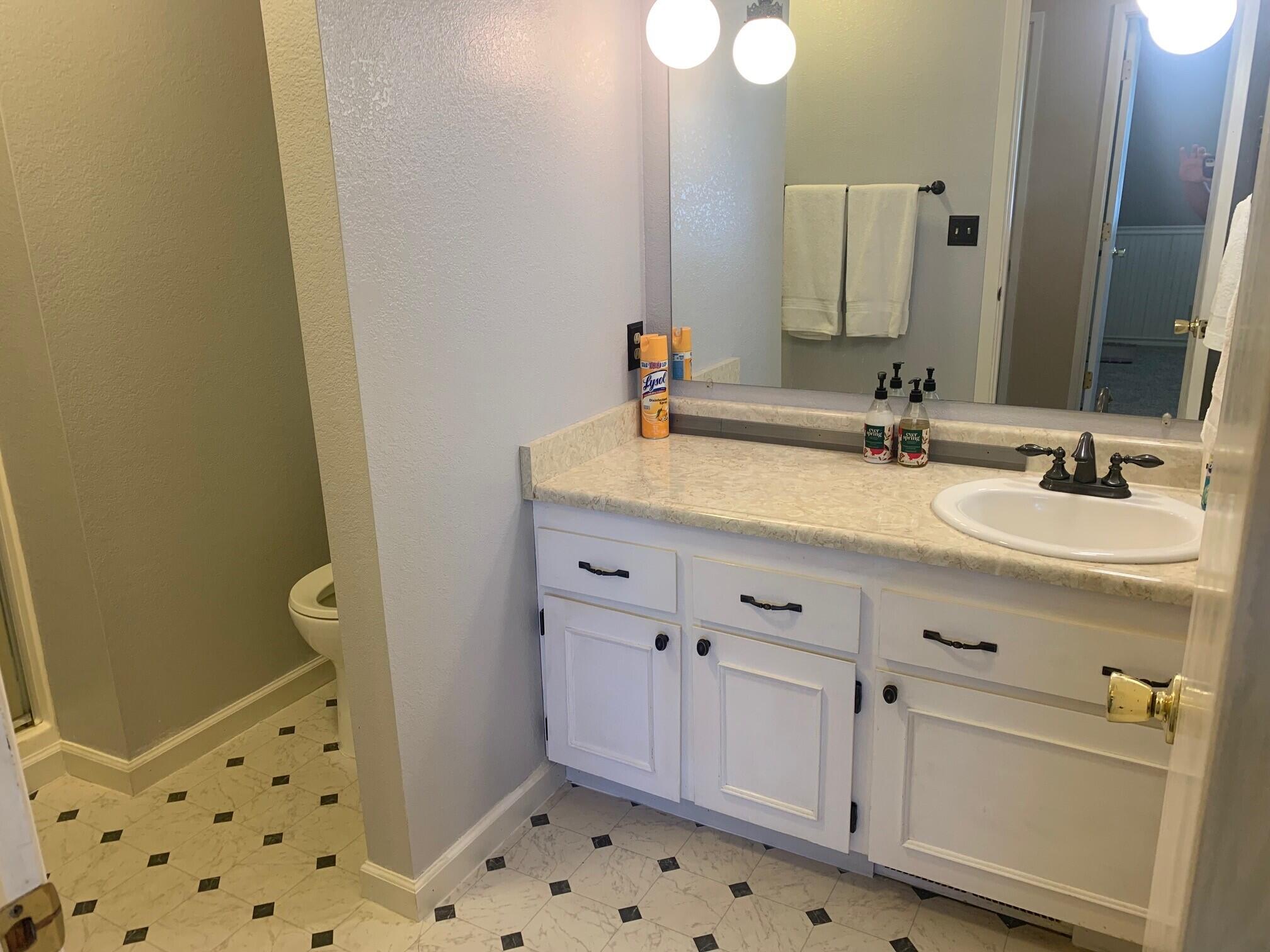 20604 Roff Way Burney, CA 96013 - Photo 17 of 32 a bathroom with a sink and a mirror
