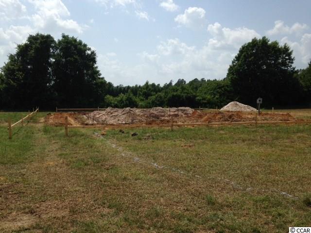 984 Brown Swamp Road Conway, SC 29527 - Photo 5 of 6 Gallery Image 5