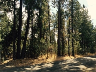 45-xx West S Oval Road Spokane, WA 99224 - Photo 1 of 11 Gallery Image 1
