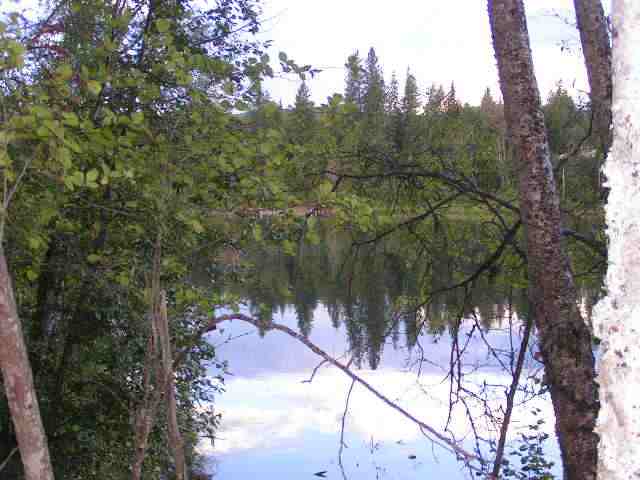 L-16 Box Canyon Road Ione, WA 99139 - Photo 1 of 2 Gallery Image 1