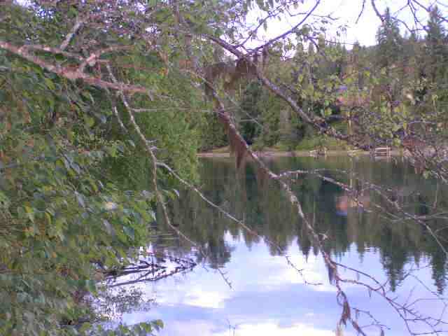 L-16 Box Canyon Road Ione, WA 99139 - Photo 2 of 2 Gallery Image 2