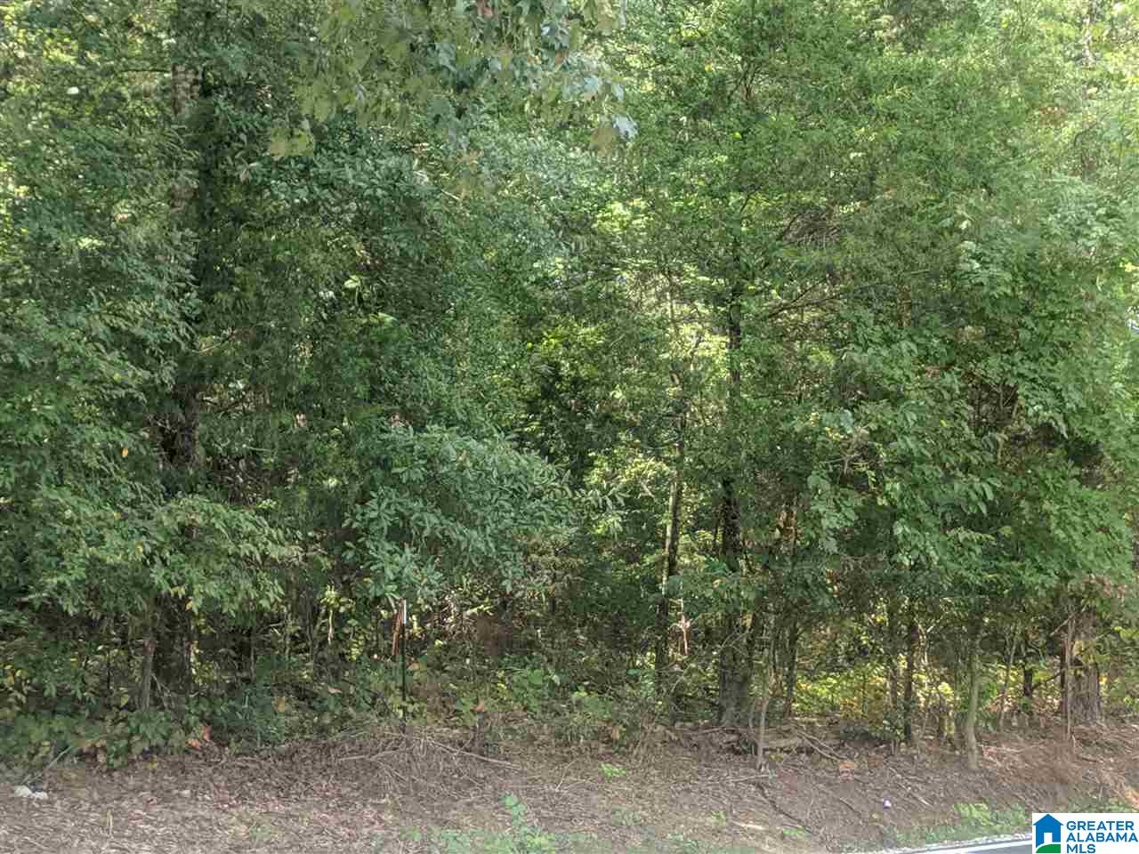 0 Old Broadwell Mill Road Jacksonville, AL 36265 - Photo 1 of 22