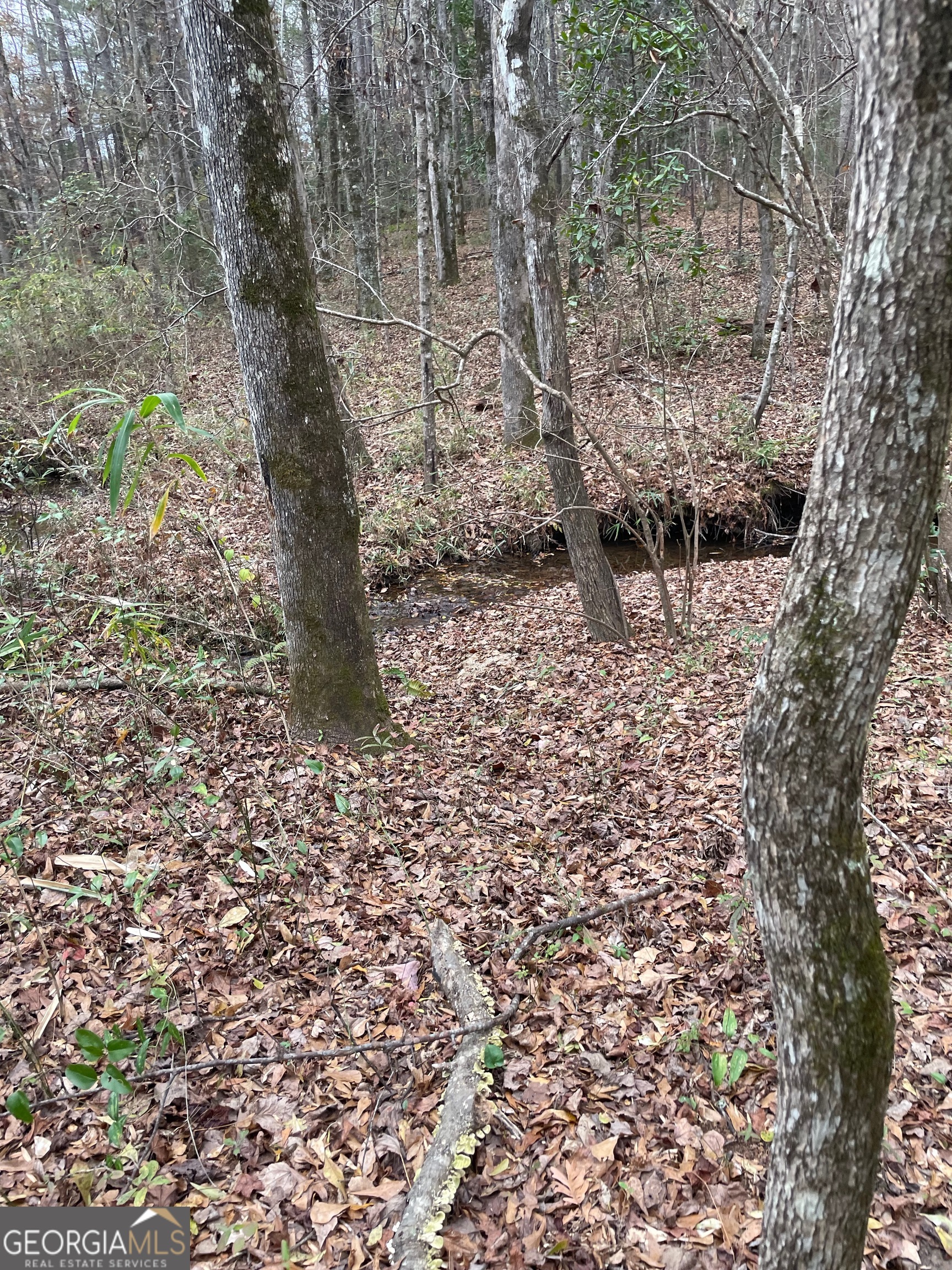 0 Hebron Church Road Thomaston, GA 30286 - Photo 4 of 9