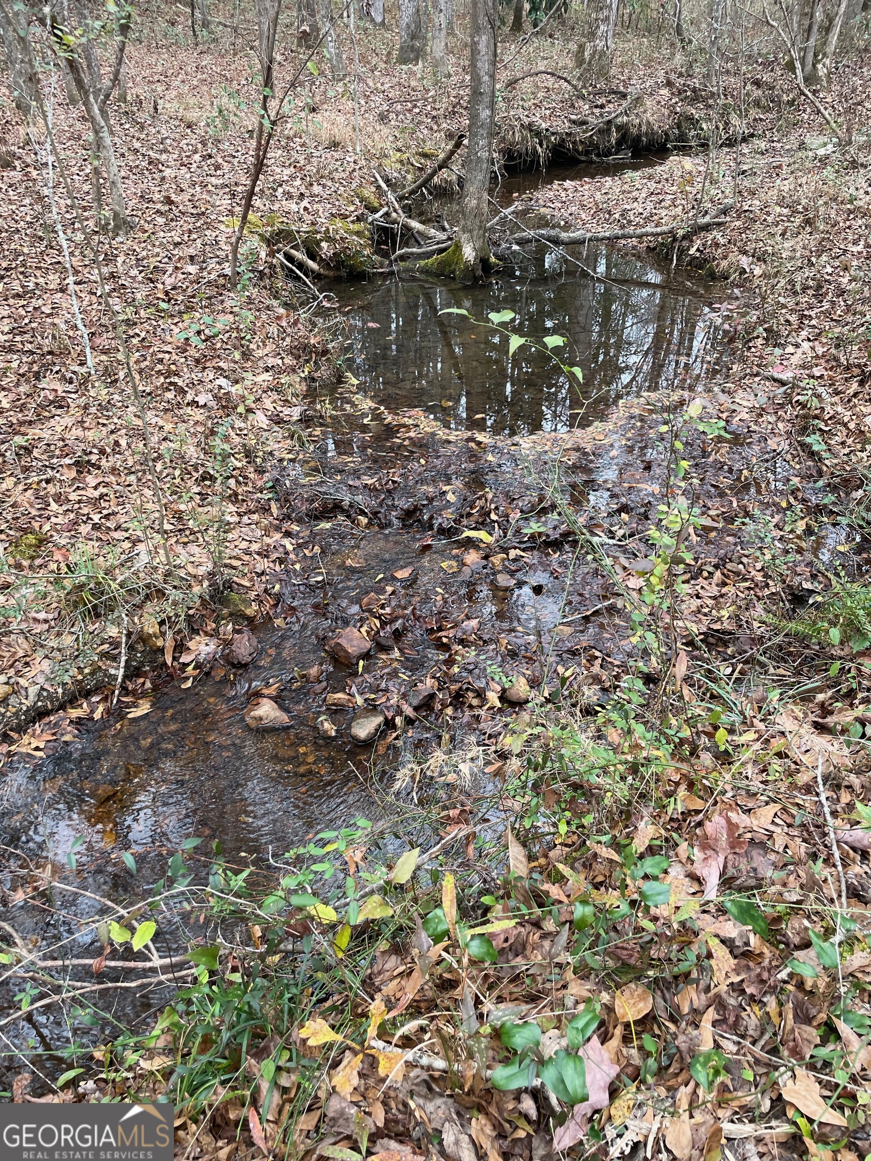 0 Hebron Church Road Thomaston, GA 30286 - Photo 5 of 9