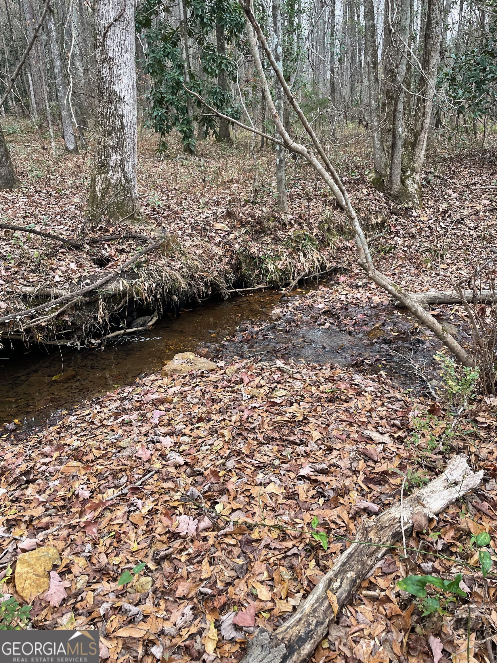 0 Hebron Church Road Thomaston, GA 30286 - Photo 6 of 9