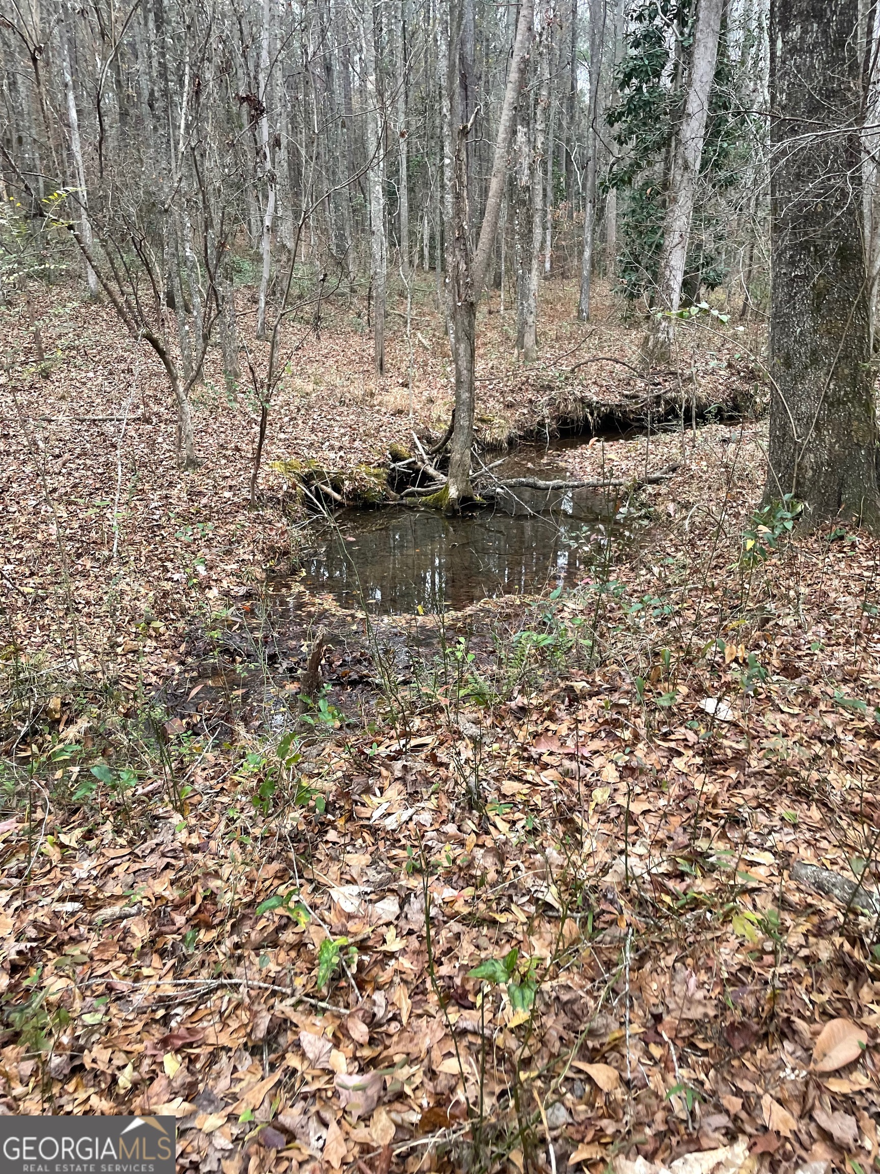 0 Hebron Church Road Thomaston, GA 30286 - Photo 7 of 9