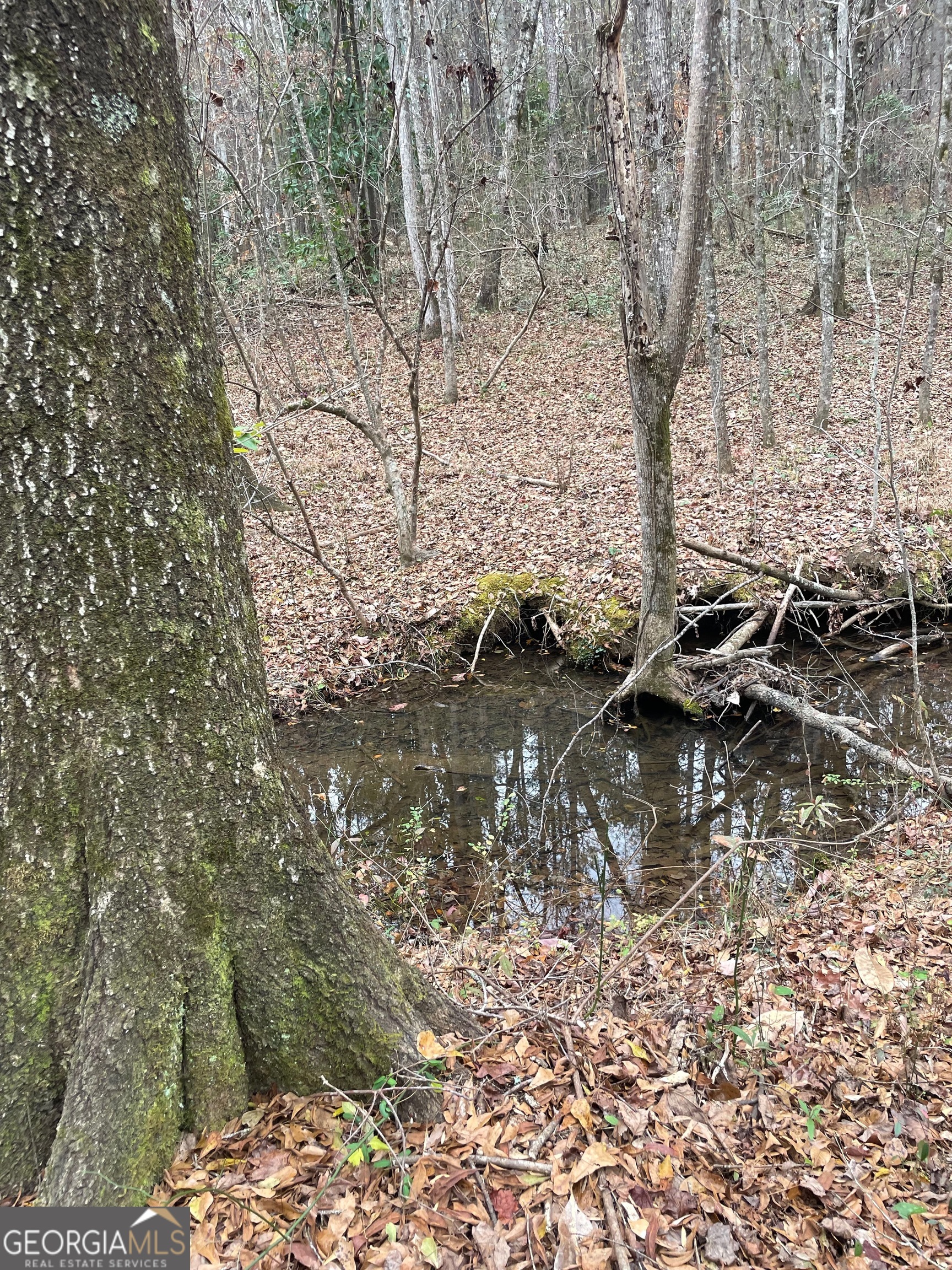 0 Hebron Church Road Thomaston, GA 30286 - Photo 8 of 9