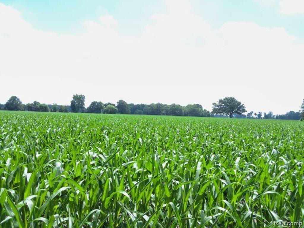 Auction Lot # 2 Auction Road Allenton, MI 48002 - Photo 4 of 4