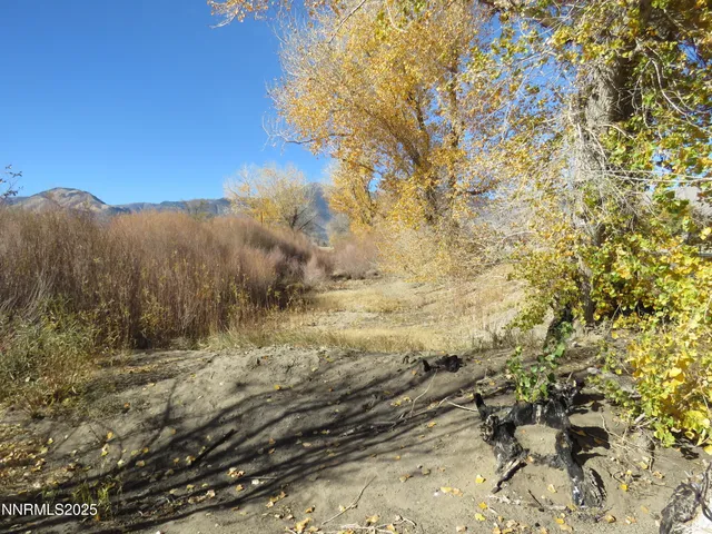 $839,000 | 99 Jessen Road, Wellington, NV 89444