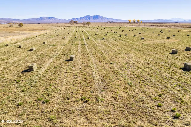 $839,000 | 99 Jessen Road, Wellington, NV 89444