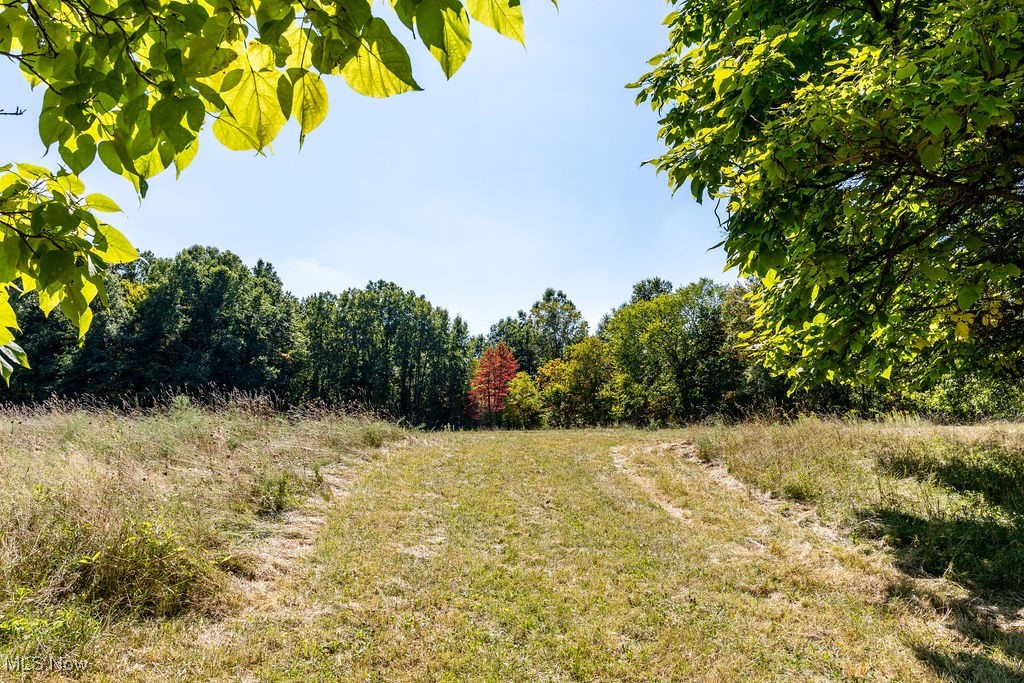 8131 Leffingwell Road Canfield, OH 44406 - Photo 6 of 37 View of woods