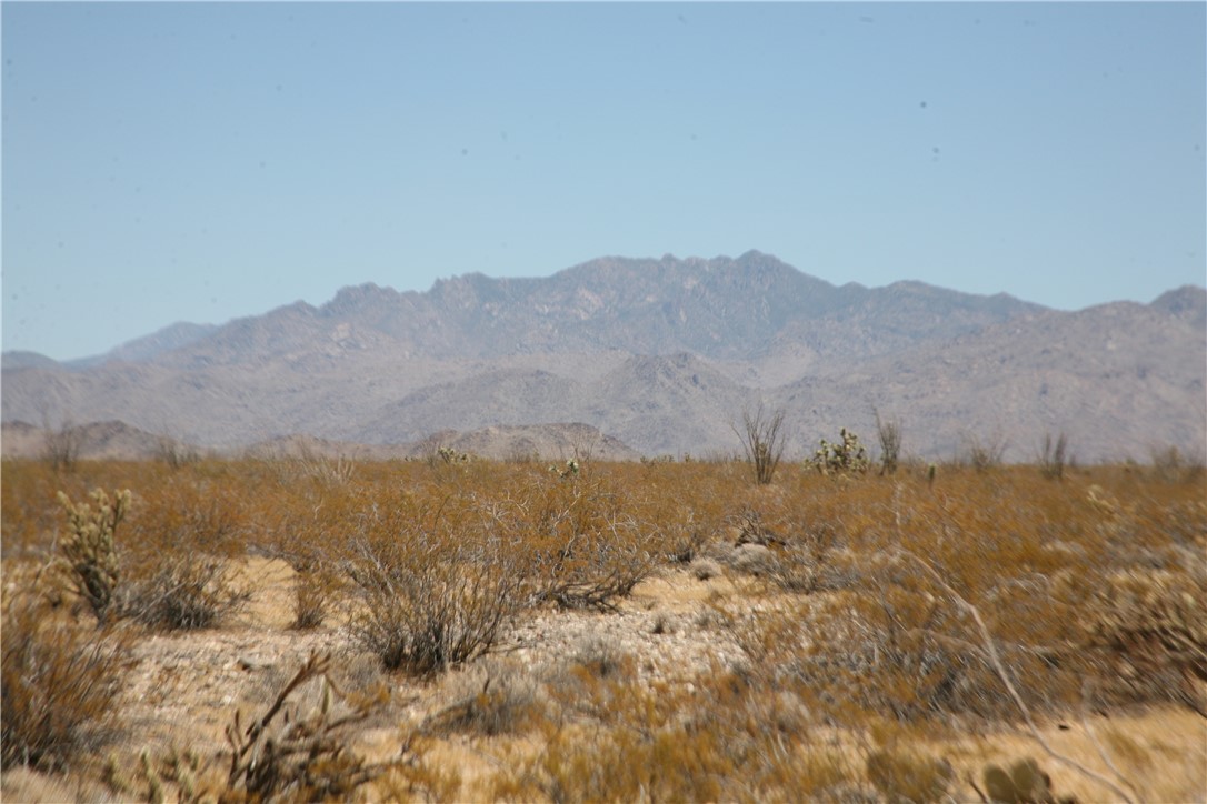 207-17-097 South Cameron Road Yucca, AZ 86438 - Photo 12 of 34