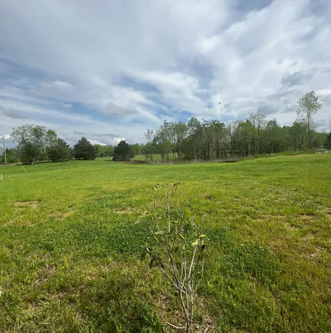 a view of a field with an trees in the background