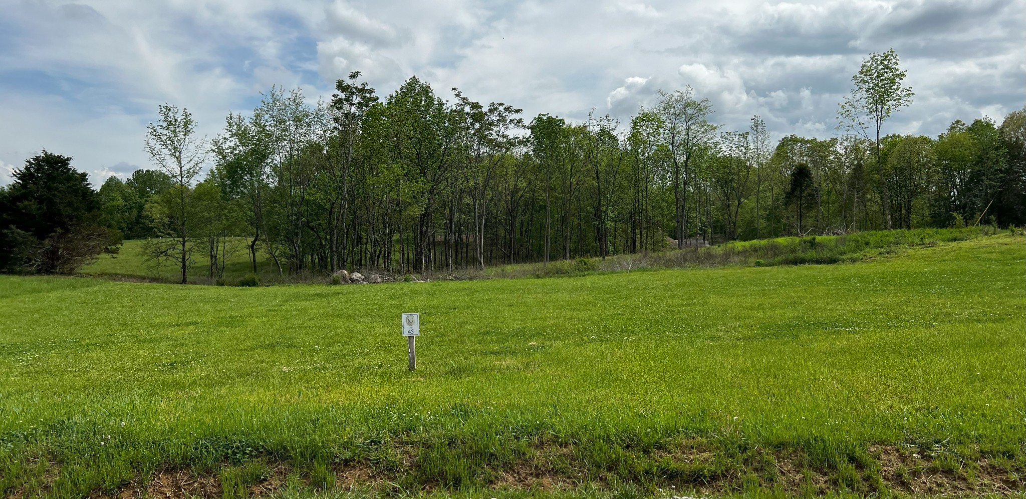 9360 Medlin Road Baxter, TN 38544 - Photo 3 of 13 a view of outdoor space with deck and yard
