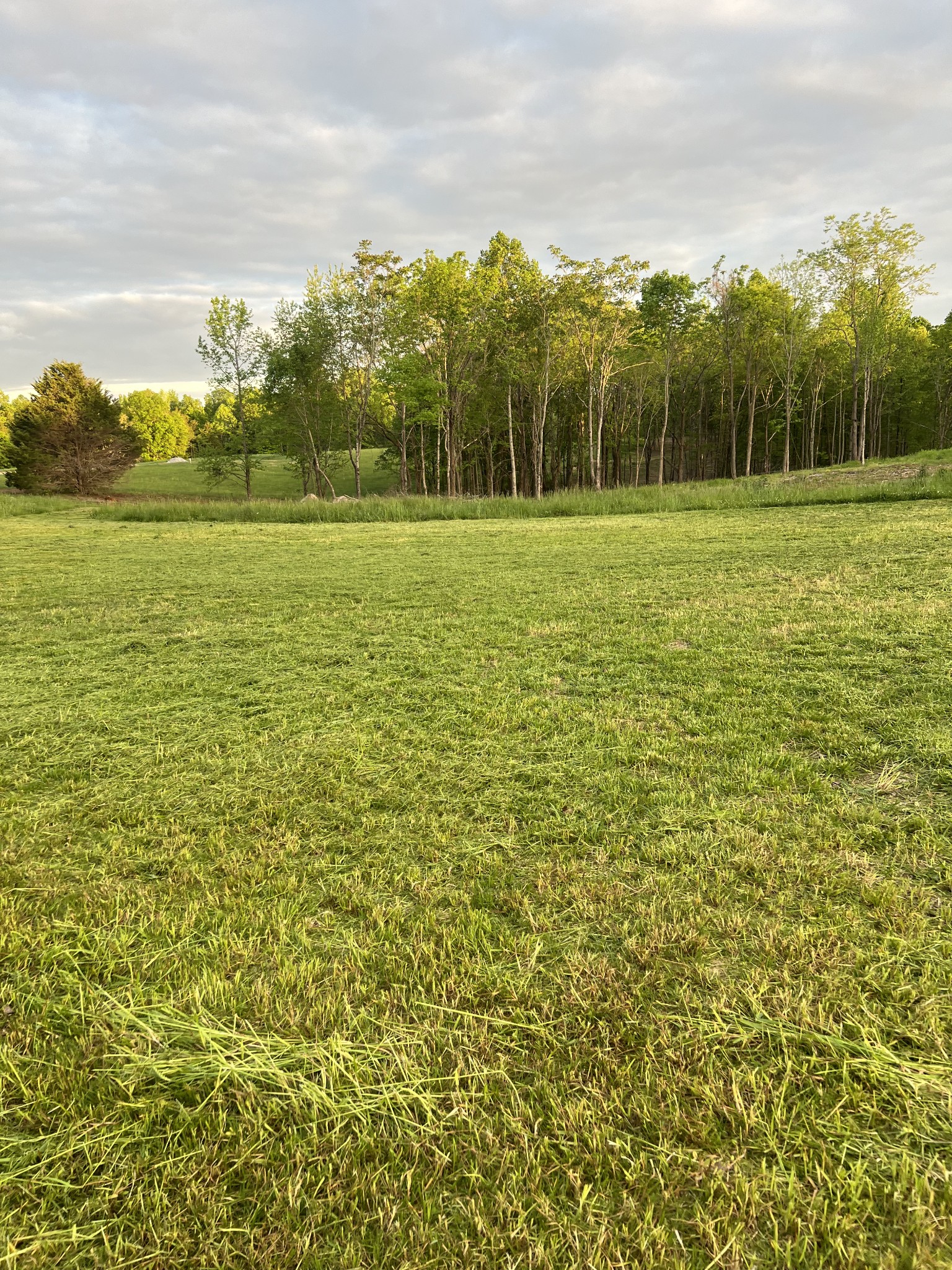 9360 Medlin Road Baxter, TN 38544 - Photo 5 of 13 a view of a field with an outdoor space