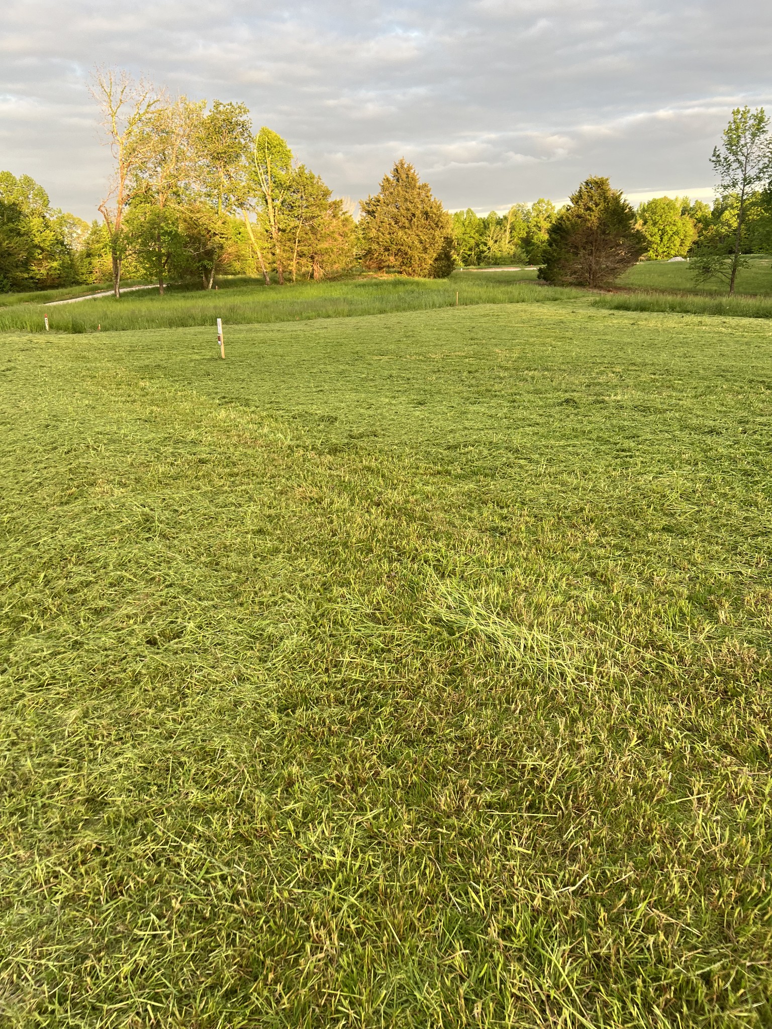 9360 Medlin Road Baxter, TN 38544 - Photo 6 of 13 a view of an ocean from a yard