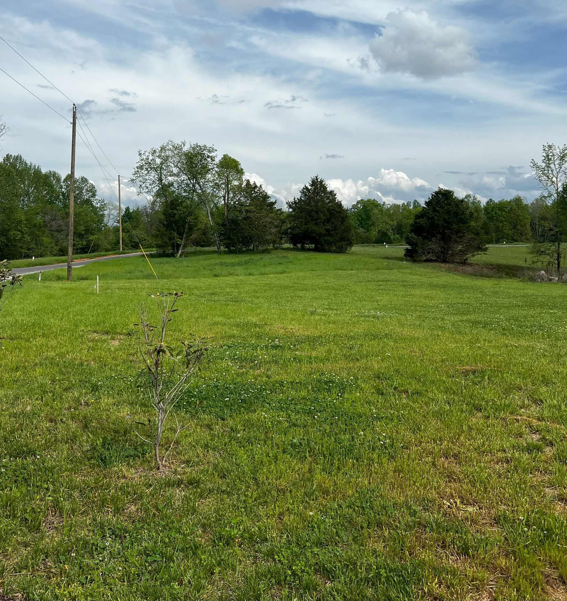 9360 Medlin Road Baxter, TN 38544 - Photo 7 of 13 a view of a green field with wooden fence