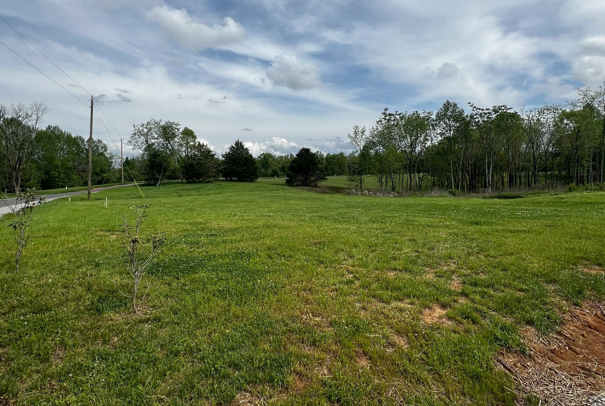 9360 Medlin Road Baxter, TN 38544 - Photo 8 of 13 a view of outdoor space and yard