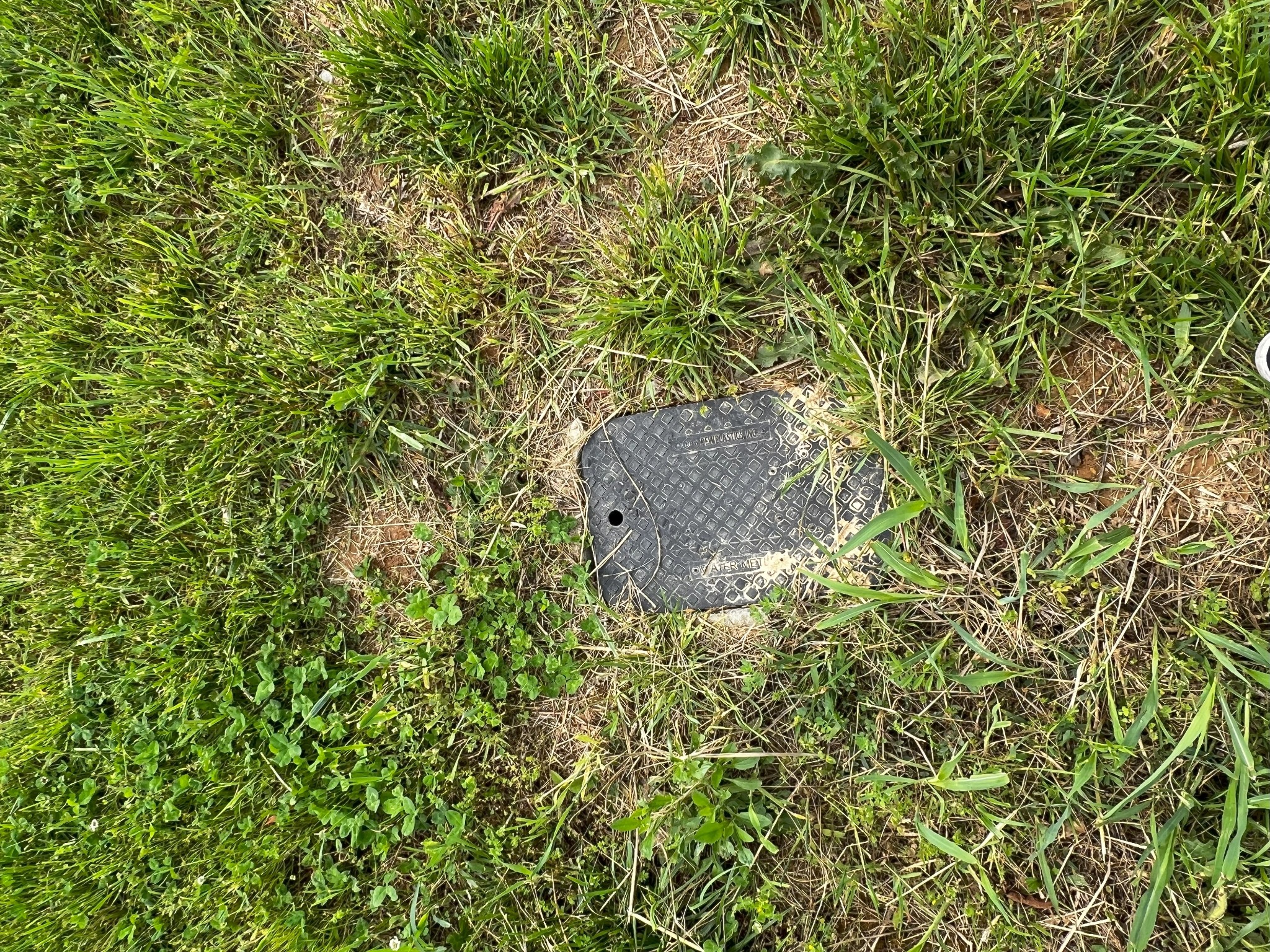 9360 Medlin Road Baxter, TN 38544 - Photo 9 of 13 a picture of a tree