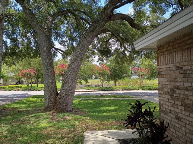 a view of a yard with plants and large trees