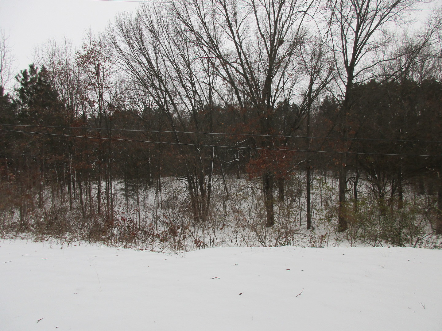 1401 Oakleaf Drive St. Anne, IL 60964 - Photo 23 of 24