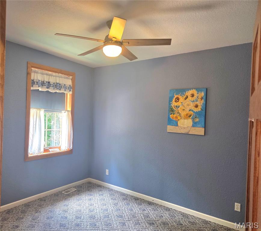 3150 Pleasant Run Road Palmyra, MO 63461 - Photo 37 of 50