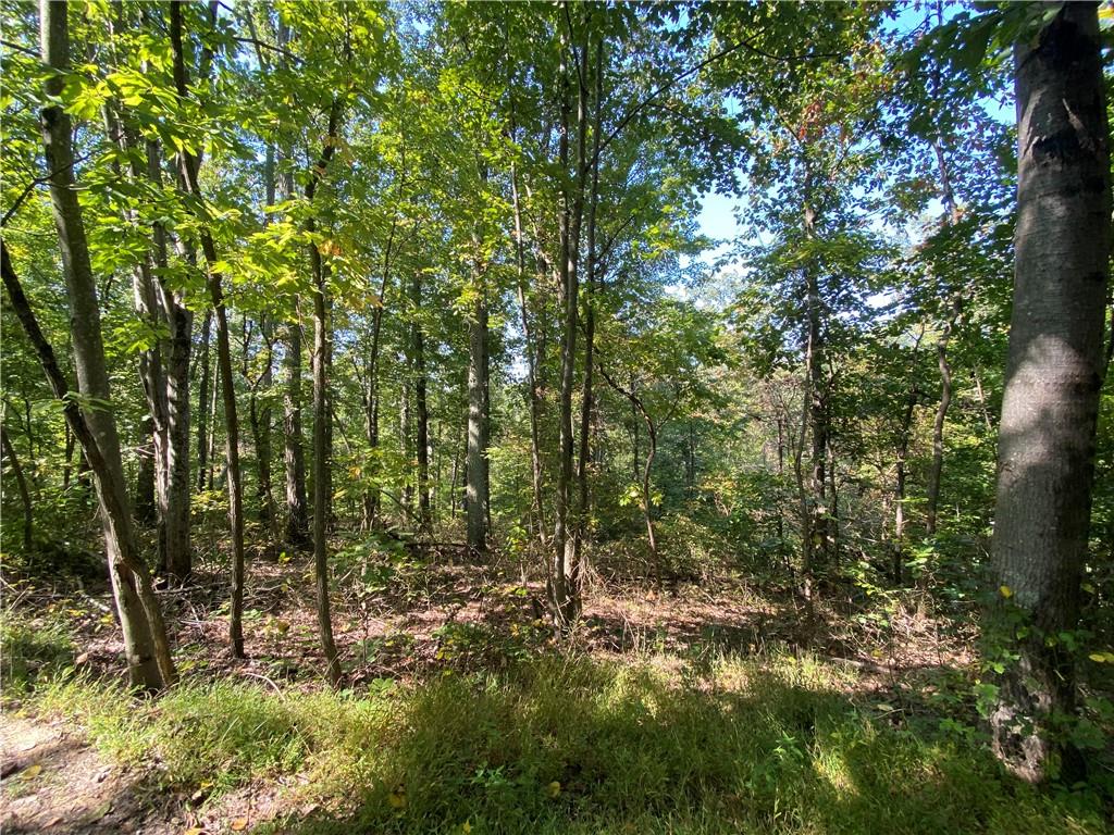 0 Timber Crest Road Nashville, IN 47448 - Photo 8 of 20 Gallery Image 8