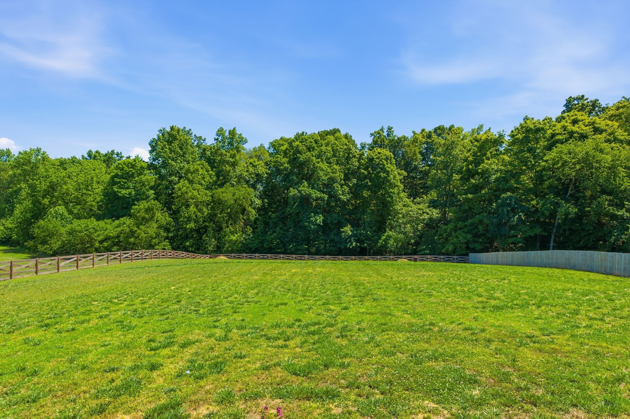 17845 Highway 76 East Springfield, TN 37172 - Photo 50 of 55 a view of a field with a tree in the background