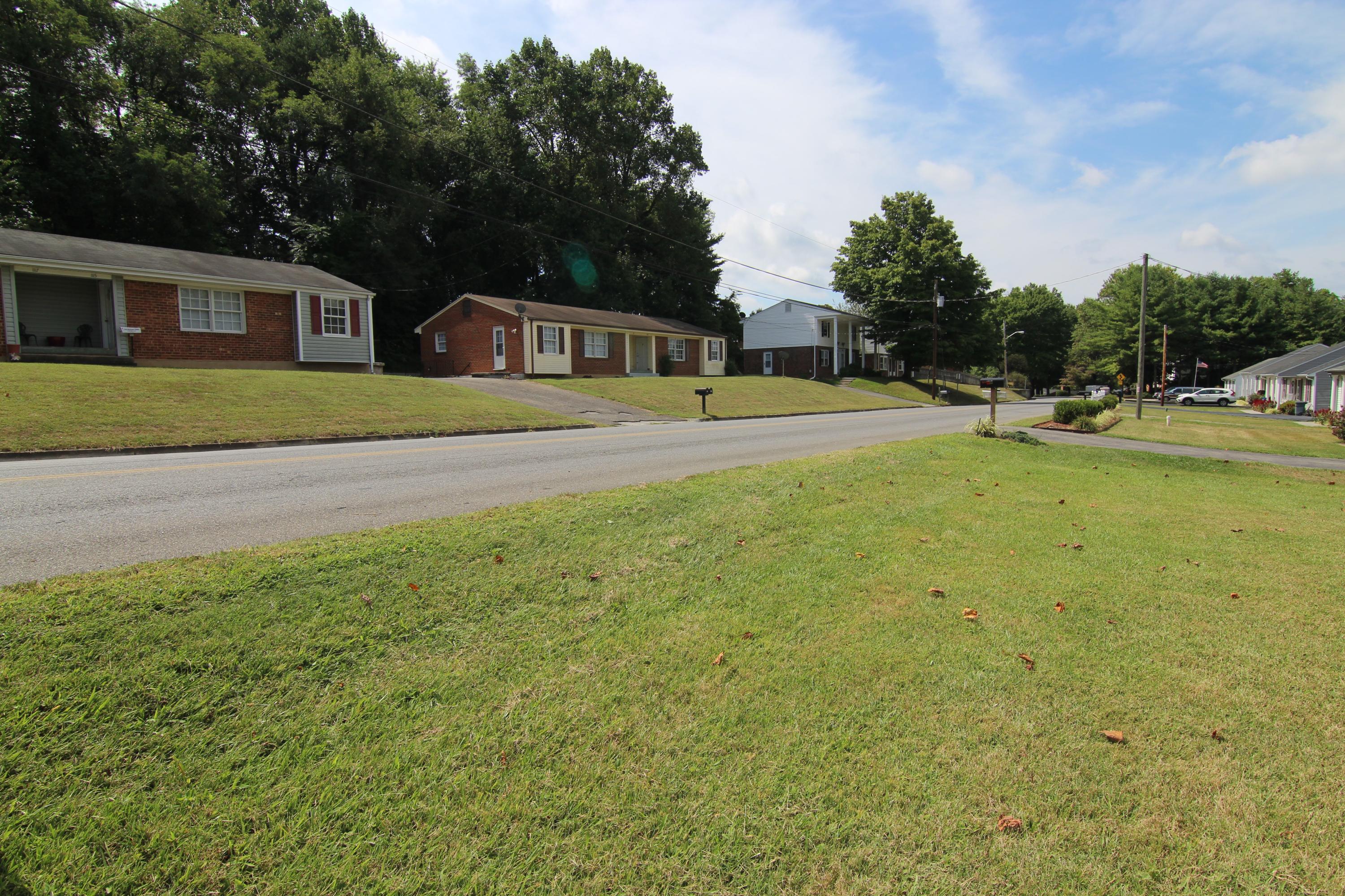 1118 Mountain View Road Vinton, VA 24179 - Photo 4 of 4 a front view of house with yard and trees in the background
