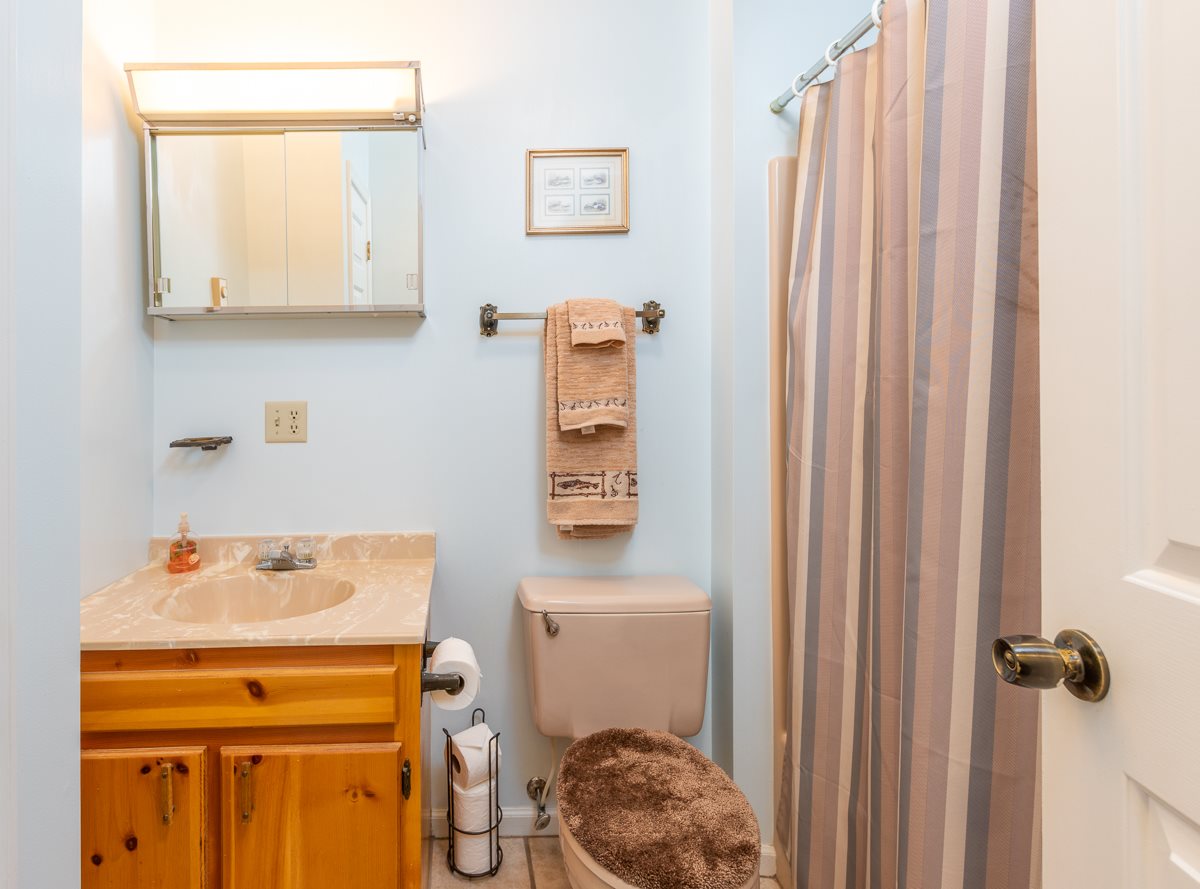 4233 Cold Springs Road Raphine, VA 24472 - Photo 31 of 50 a bathroom with a sink and a mirror