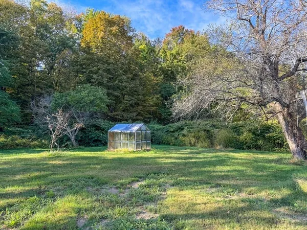 a view of a park with large trees