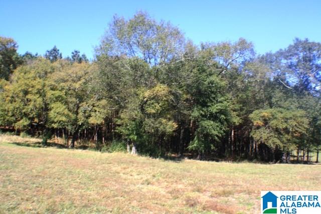 1785 Nunnally Lake Road Ohatchee, AL 36271 - Photo 27 of 50