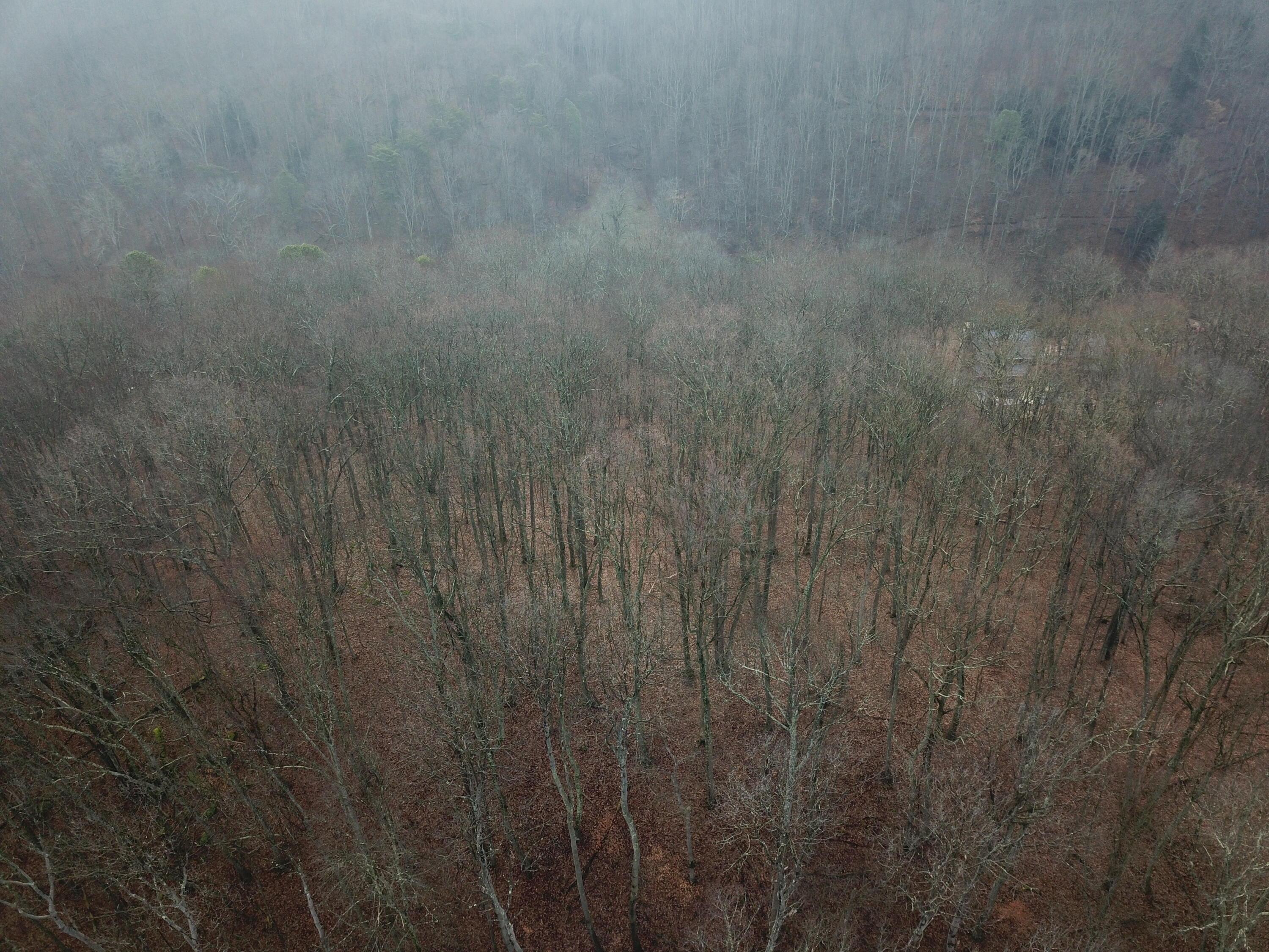 12001 West Buck Run Road Rockbridge, OH 43149 - Photo 9 of 12