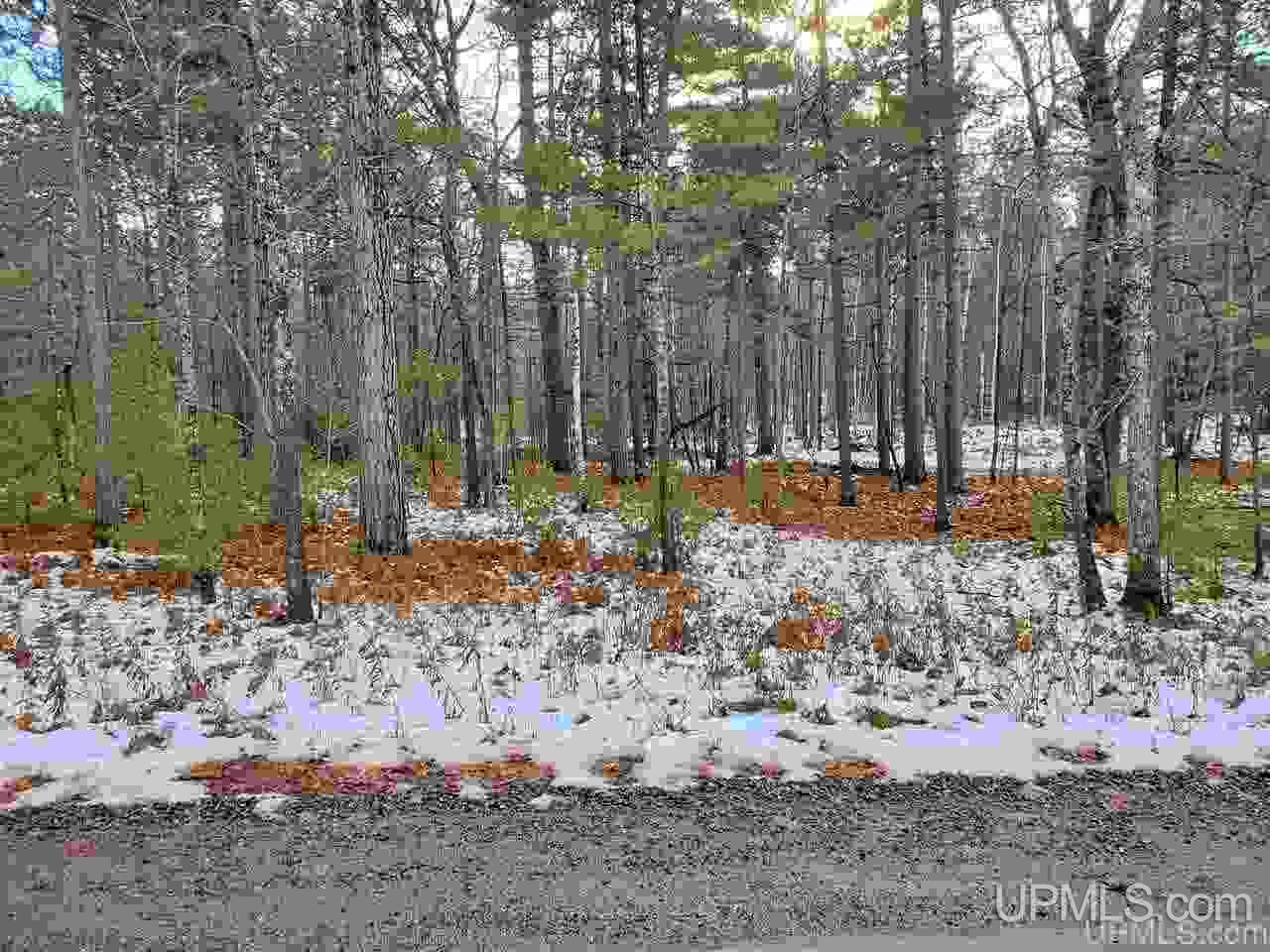 11.64 Acres Co Road Marquette, MI 49855 - Photo 7 of 8